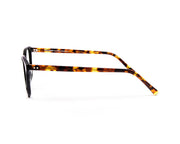 SHELL HAPSTER - FULL FRAME - BLACK SHINE - SQUARE - CO7184 - (Lenses Included)*