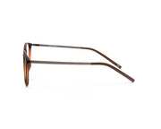 SHELL  - FULL FRAME - BROWN MATT - CATEYE - AML5507 - (Lenses Included)*