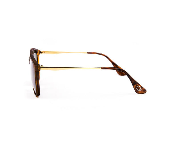 SUNGLASS - FULL FRAME - BROWN MATT - WAA0712 - DB ROUND - 55