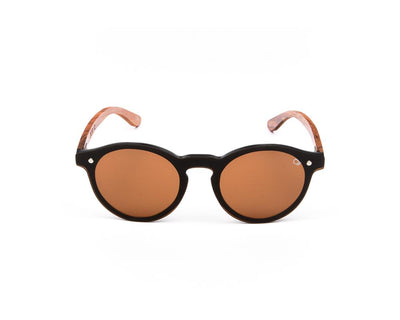 SHELL SUNGLASS - FULL FRAME - BROWN SHINE - TUK315 - ROUND