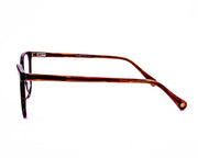 Cateye Brown Tortise with Brown ACETATE Full Frame AMI5001 - Specsmakers