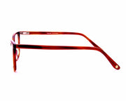 Cateye Brown Tortise with Brown ACETATE Full Frame AMI5010 - Specsmakers