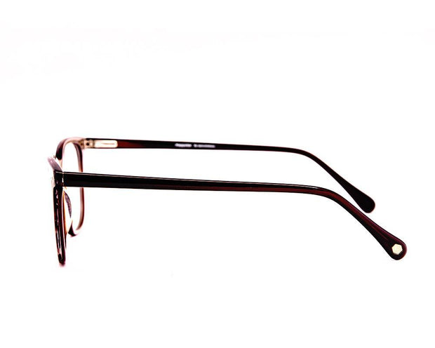 Rectangle Brown Shine with Brown ACETATE Full Frame AMI5008 - Specsmakers