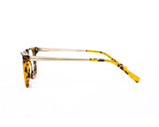 Square Brown Tortise WITH Gold Happster NO17290 - (LENSES INCLUDED)*