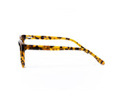 Square Brown Tortise WITH Tortise Happster NO17275 - Specsmakers