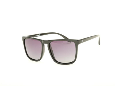 Oval Shell SUNGLASS 6004 - Specsmakers