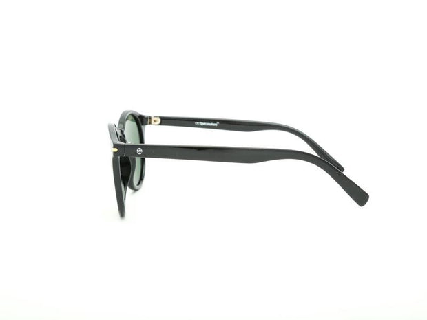 Round Shell SUNGLASS 6055 - Specsmakers