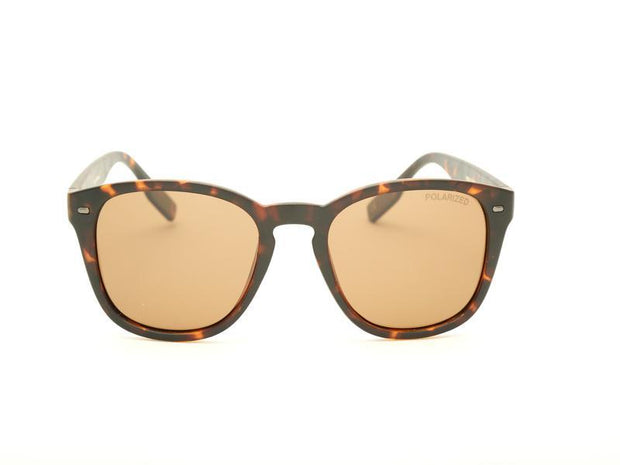Rectangle Shell SUNGLASS 6006 - Specsmakers