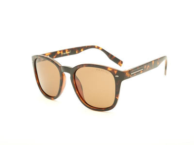 Rectangle Shell SUNGLASS 6006 - Specsmakers